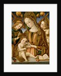Madonna and Child with Two Angels, c.1481-82 by Vittorio Crivelli