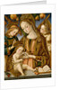 Madonna and Child with Two Angels, c.1481-82 by Vittorio Crivelli