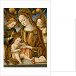 Madonna and Child with Two Angels, c.1481-82 by Vittorio Crivelli