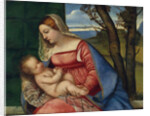 Madonna and Child, c.1508 by Titian