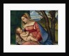 Madonna and Child, c.1508 by Titian