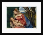 Madonna and Child, c.1508 by Titian