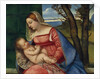 Madonna and Child, c.1508 by Titian