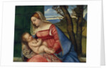 Madonna and Child, c.1508 by Titian