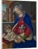 Madonna and Child, c.1483-4 by Filippino Lippi