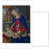 Madonna and Child, c.1483-4 by Filippino Lippi