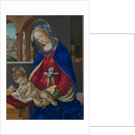Madonna and Child, c.1483-4 by Filippino Lippi