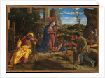 The Adoration of the Shepherds, c.1450 by Andrea Mantegna