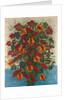 The Large Bouquet, c.1907 by Seraphine Louis