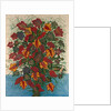 The Large Bouquet, c.1907 by Seraphine Louis
