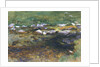 Brook and Meadow, c.1907 by John Singer Sargent