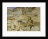 Bringing Down Marble from the Quarries to Carrara, 1911 by John Singer Sargent