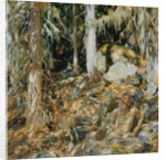 The Hermit, 1908 by John Singer Sargent