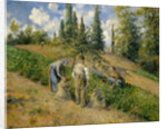 The Harvest, Pontoise, 1881 by Camille Pissarro