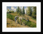 The Harvest, Pontoise, 1881 by Camille Pissarro