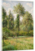 Poplars, Éragny, 1895 by Camille Pissarro