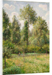 Poplars, Éragny, 1895 by Camille Pissarro