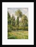 Poplars, Éragny, 1895 by Camille Pissarro