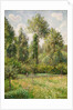 Poplars, Éragny, 1895 by Camille Pissarro