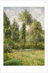 Poplars, Éragny, 1895 by Camille Pissarro
