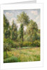 Poplars, Éragny, 1895 by Camille Pissarro