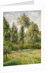 Poplars, Éragny, 1895 by Camille Pissarro