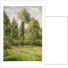 Poplars, Éragny, 1895 by Camille Pissarro