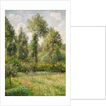 Poplars, Éragny, 1895 by Camille Pissarro