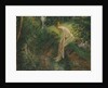 Bather in the Woods, 1895 by Camille Pissarro