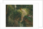 Bather in the Woods, 1895 by Camille Pissarro