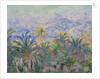 Palm Trees at Bordighera, 1884 by Claude Monet