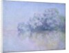 Île aux Orties near Vernon, 1897 by Claude Monet