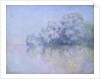 Île aux Orties near Vernon, 1897 by Claude Monet