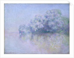 Île aux Orties near Vernon, 1897 by Claude Monet