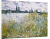 Île aux Fleurs near Vétheuil, 1880 by Claude Monet