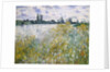 Île aux Fleurs near Vétheuil, 1880 by Claude Monet