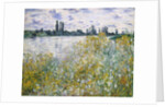 Île aux Fleurs near Vétheuil, 1880 by Claude Monet