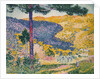 Valley with Fir, 1909 by Henri-Edmond Cross