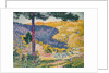 Valley with Fir, 1909 by Henri-Edmond Cross