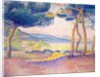 Pines Along the Shore, 1896 by Henri-Edmond Cross