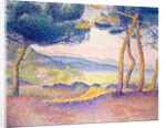 Pines Along the Shore, 1896 by Henri-Edmond Cross