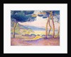 Pines Along the Shore, 1896 by Henri-Edmond Cross