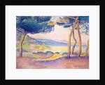 Pines Along the Shore, 1896 by Henri-Edmond Cross