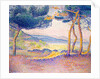 Pines Along the Shore, 1896 by Henri-Edmond Cross