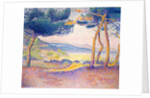Pines Along the Shore, 1896 by Henri-Edmond Cross