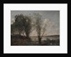 Boatman among the Reeds, c.1865 by Jean Baptiste Camille Corot