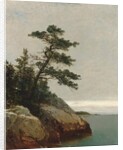 The Old Pine, Darien, Connecticut, 1872 by John Frederick Kensett