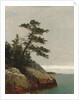 The Old Pine, Darien, Connecticut, 1872 by John Frederick Kensett