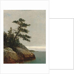 The Old Pine, Darien, Connecticut, 1872 by John Frederick Kensett