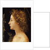 The Young Saint John the Baptist by Piero di Cosimo